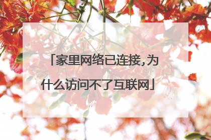 家里网络已连接,为什么访问不了互联网