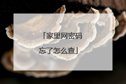 家里网密码忘了怎么查