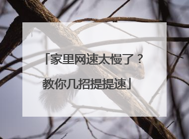 家里网速太慢了？教你几招提提速