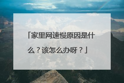 家里网速慢原因是什么?该怎么办呀?