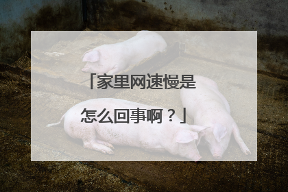 家里网速慢是怎么回事啊？