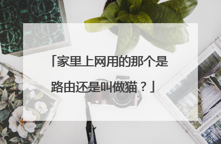 家里上网用的那个是路由还是叫做猫？
