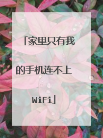 家里只有我的手机连不上WiFi