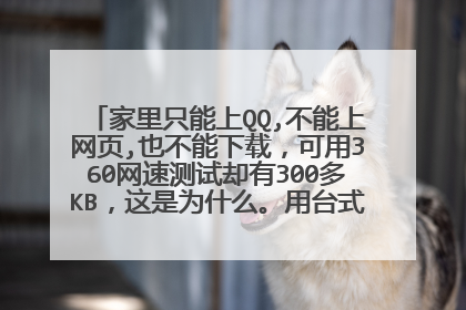 家里只能上QQ,不能上网页,也不能下载,可用360网速测试却有300多KB,这是为什么。用台式和笔记本都一样