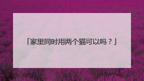 家里同时用两个猫可以吗？