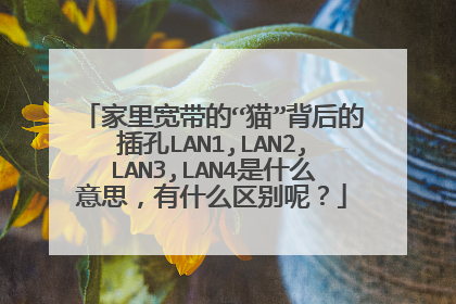 家里宽带的“猫”背后的插孔LAN1,LAN2,LAN3,LAN4是什么意思，有什么区别呢？