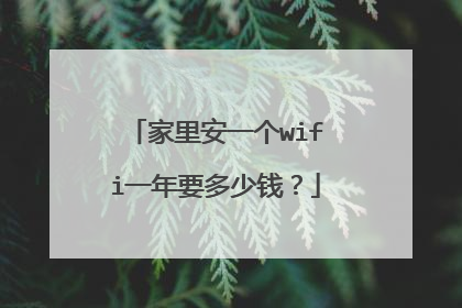 家里安一个wifi一年要多少钱？