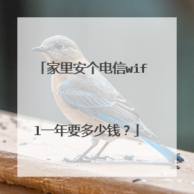 家里安个电信wifl一年要多少钱?