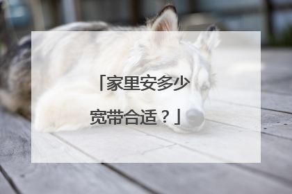 家里安多少宽带合适？