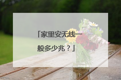 家里安无线一般多少兆?