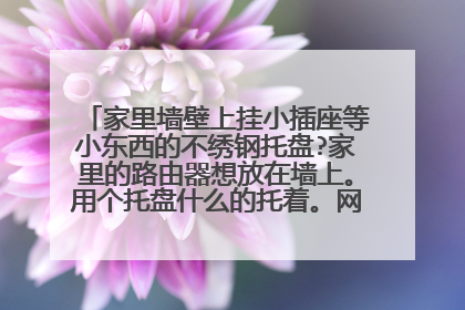 家里墙壁上挂小插座等小东西的不绣钢托盘?家里的路由器想放在墙上。用个托盘什么的托着。网上有卖的没？