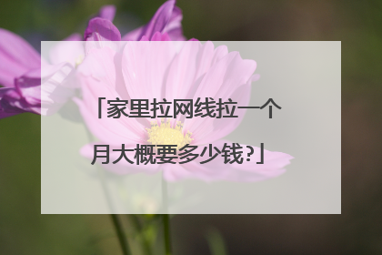 家里拉网线拉一个月大概要多少钱?