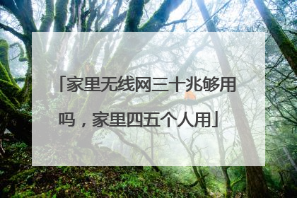 家里无线网三十兆够用吗，家里四五个人用