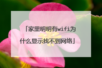 家里明明有wifi为什么显示找不到网络