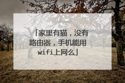 家里有猫，没有路由器，手机能用wifi上网么