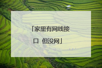 家里有网线接口 但没网