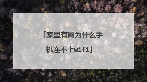 家里有网为什么手机连不上wifi