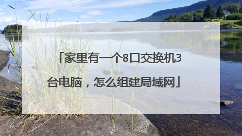 家里有一个8口交换机3台电脑,怎么组建局域网