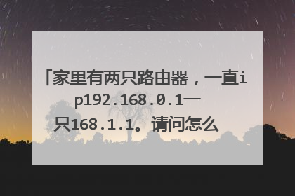 家里有两只路由器，一直ip192.168.0.1一只168.1.1。请问怎么连接和设置。有光猫。