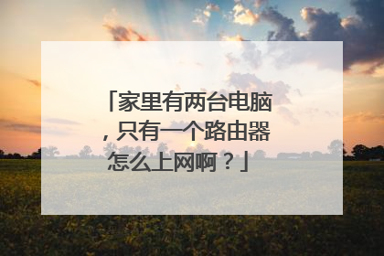 家里有两台电脑,只有一个路由器怎么上网啊?