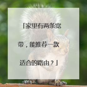 家里有两条宽带，能推荐一款适合的路由？