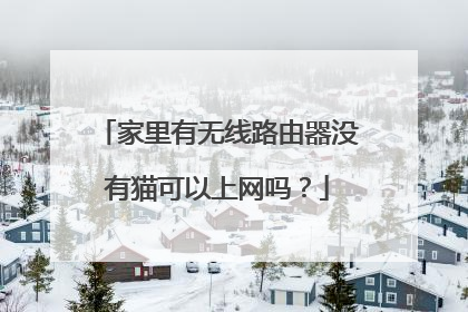 家里有无线路由器没有猫可以上网吗？