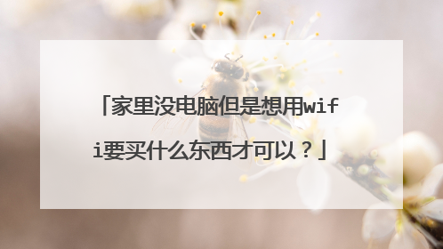 家里没电脑但是想用wifi要买什么东西才可以？