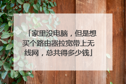 家里没电脑,但是想买个路由器拉宽带上无线网,总共得多少钱