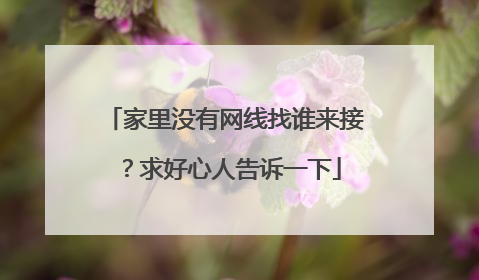 家里没有网线找谁来接?求好心人告诉一下