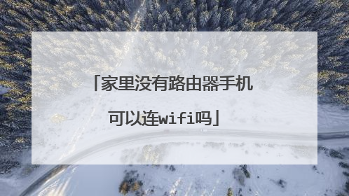家里没有路由器手机可以连wifi吗