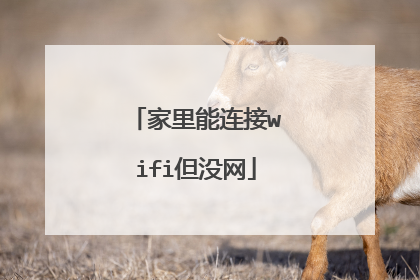 家里能连接wifi但没网