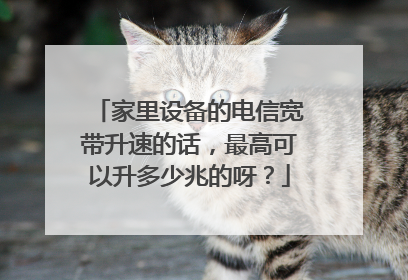 家里设备的电信宽带升速的话,最高可以升多少兆的呀?