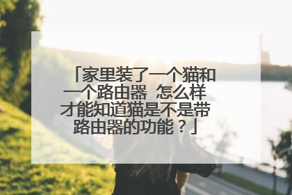 家里装了一个猫和一个路由器 怎么样才能知道猫是不是带路由器的功能？