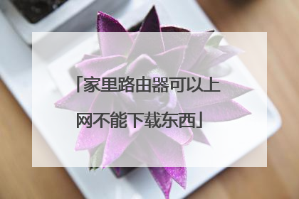 家里路由器可以上网不能下载东西