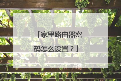 家里路由器密码怎么设置?