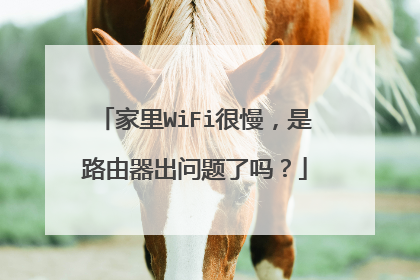 家里WiFi很慢,是路由器出问题了吗?