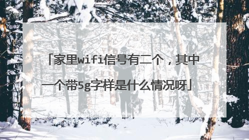 家里wifi信号有二个，其中一个带5g字样是什么情况呀