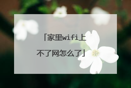 家里wifi上不了网怎么了