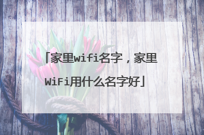 家里wifi名字，家里WiFi用什么名字好