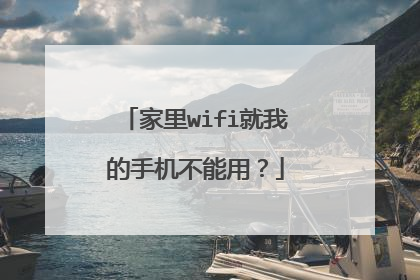 家里wifi就我的手机不能用?
