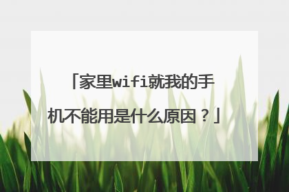 家里wifi就我的手机不能用是什么原因？
