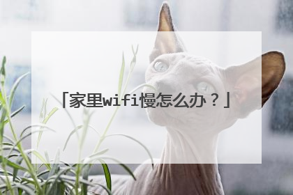 家里wifi慢怎么办?