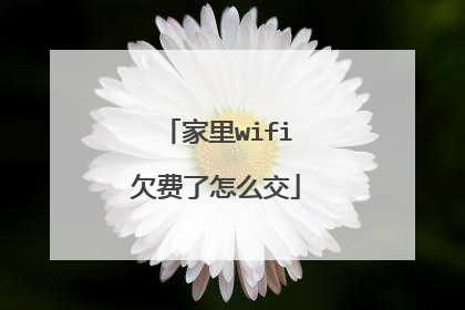 家里wifi欠费了怎么交
