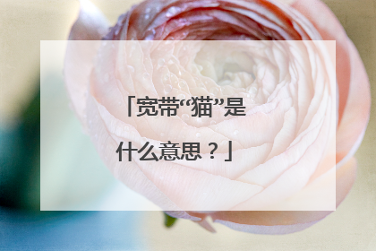 宽带“猫”是什么意思？