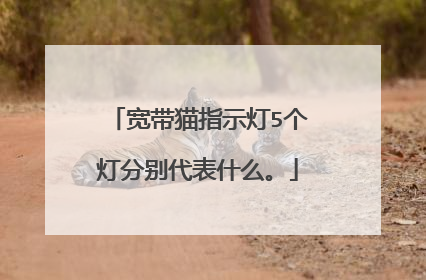 宽带猫指示灯5个灯分别代表什么。