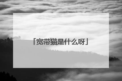 宽带猫是什么呀