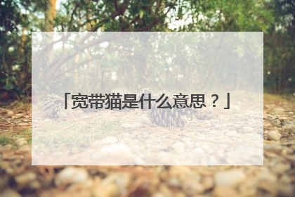 宽带猫是什么意思？