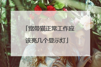 宽带猫正常工作应该亮几个显示灯