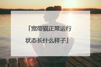 宽带猫正常运行状态长什么样子