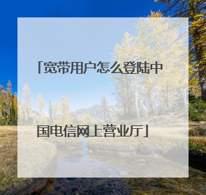 宽带用户怎么登陆中国电信网上营业厅